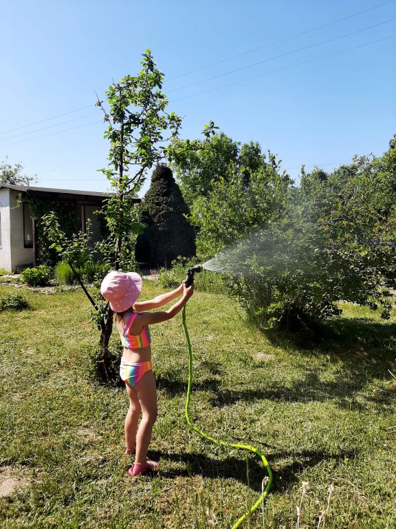 Dziewczynka podlewa działkę.