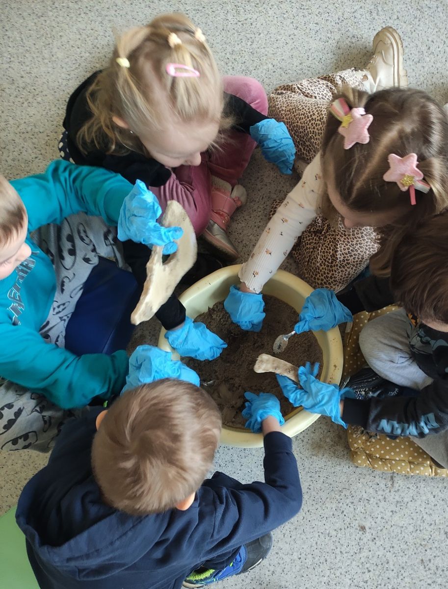 Grupa przedszkolak&oacute;w wykopuje z piski pełenj piachu kości dinozaura wykonane z masy solnej.